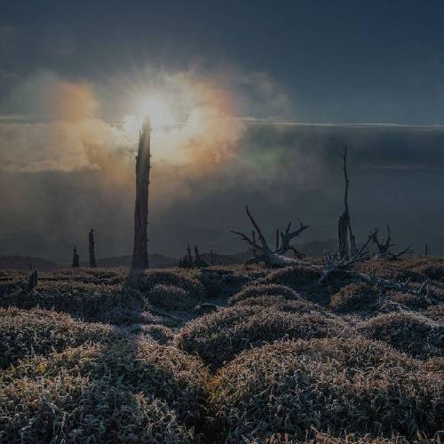 امین ملاها رفیق رفیق خرابم امشب بیا نیستی پر از عذابم امشب بیا